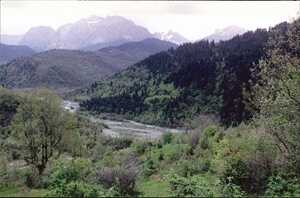1-nafpaktia-41.jpg