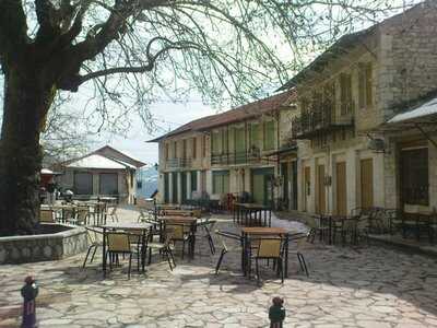plateiaplatanos.jpg